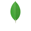 Mongo DB